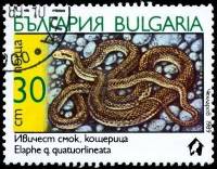 (1989-091) Марка Болгария "Четырёхполосый лазающий полоз"   Змеи III Θ